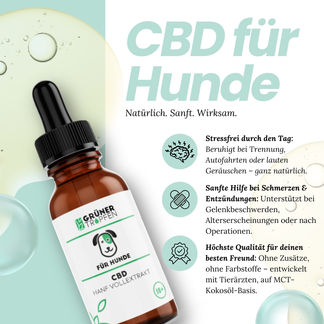 10% CBD Tropfen für Hunde