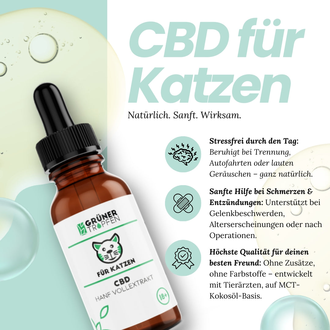 10% CBD Tropfen für Katzen