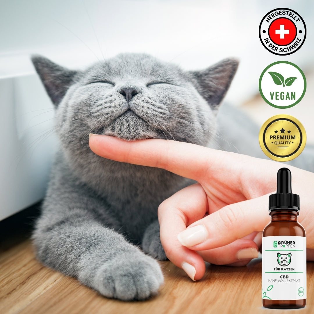 10% CBD Tropfen für Katzen
