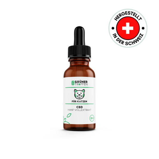 10% CBD Tropfen für Katzen